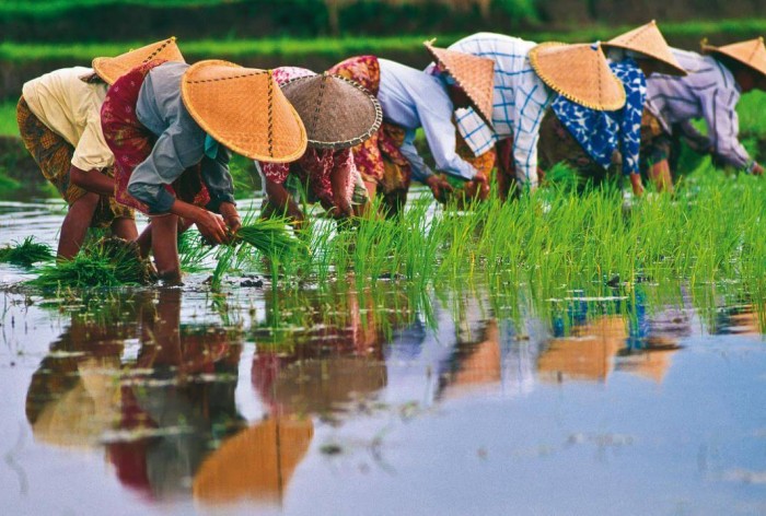 Вьетнам фото