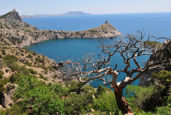 Россия фото