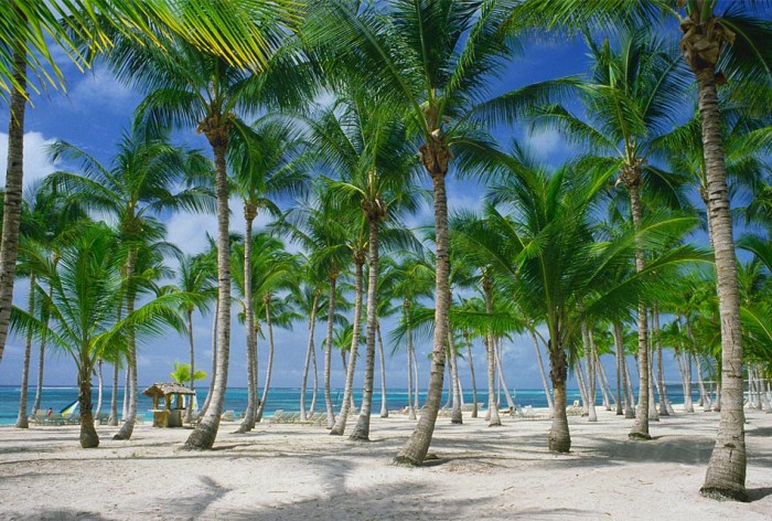 Бока Чика и Хуан Долио